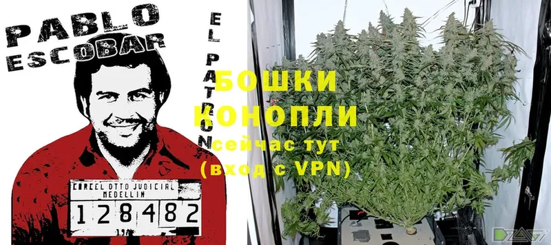 Канабис SATIVA & INDICA  omg онион  Гусиноозёрск 